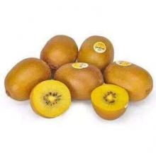 新西兰猕猴桃黄金果 1.4公斤 【包邮】