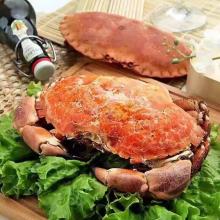 英国深海面包蟹 拥有世界膏蟹之王与黄金蟹的美称 2只装【包邮】